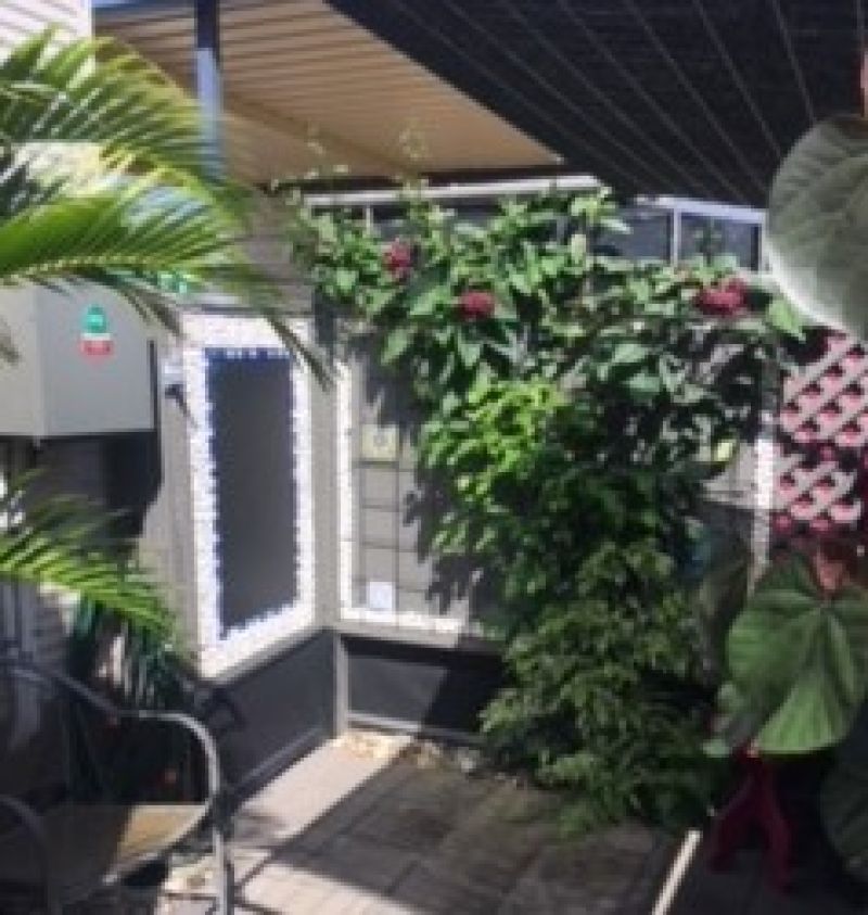 Lime Tree Village Site 95