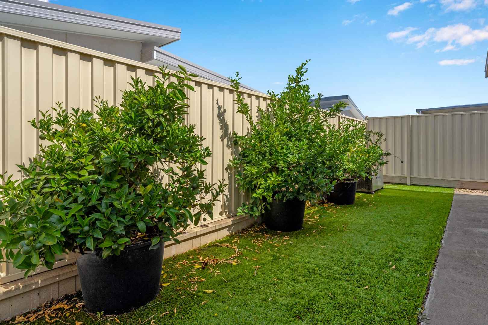 HOME 48 PALM LAKE RESORT TRUGANINA