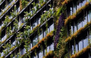 Why “Green” Features Matter