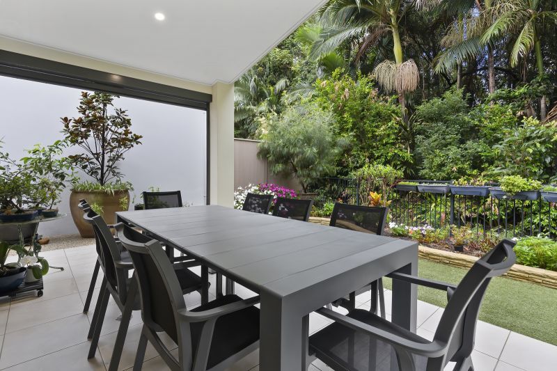 Stunning Rainforest Outlook