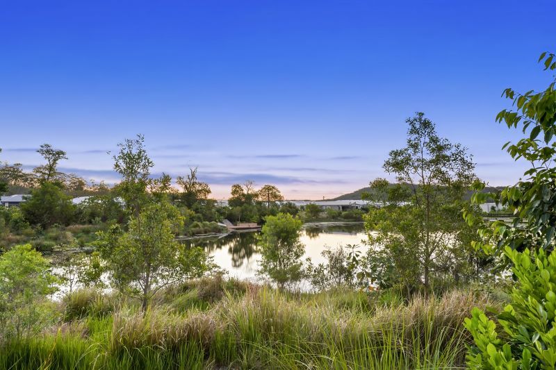 Site 261 - Established Kondalilla