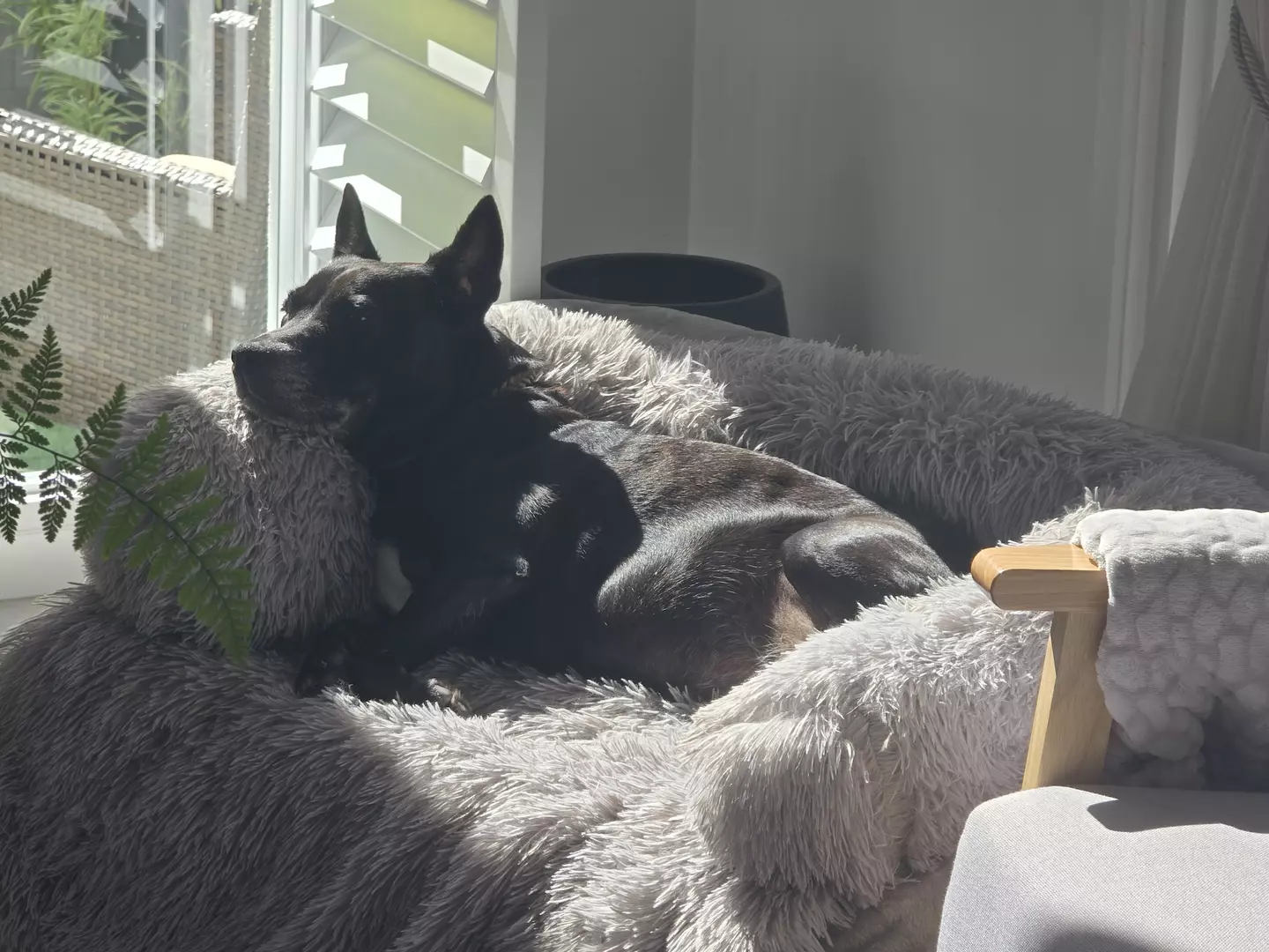 A Garden That Inspires, A Home That Delights - Villa 91