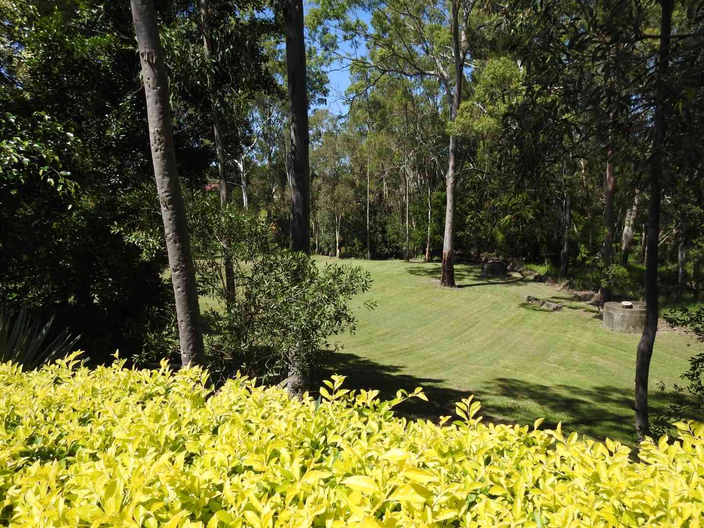 What a find in Palm Lake Resort