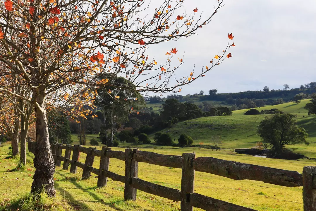 Southern Highlands of NSW