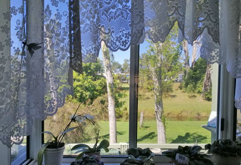 Acacia Ponds site #5