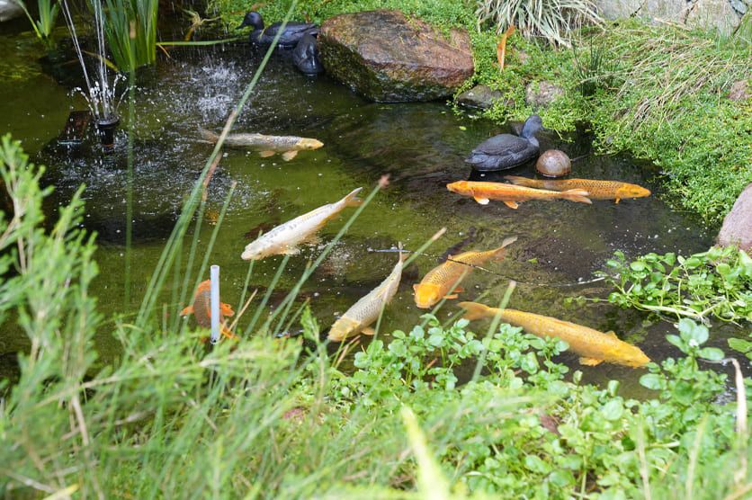 SwanCare Tandara - Residential Aged Care Centre