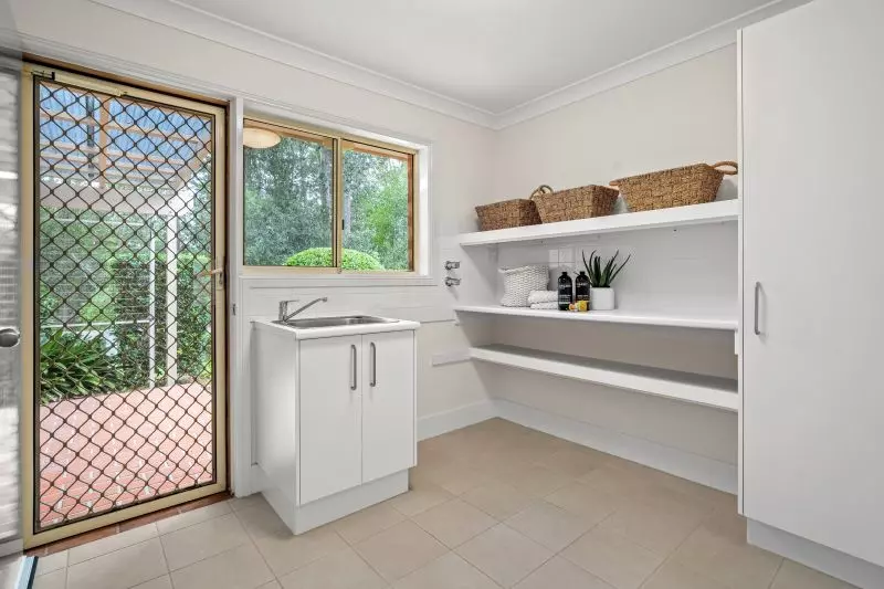 Tropical rainforest location. 