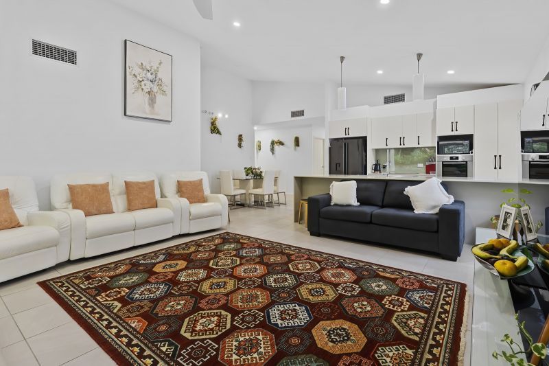 Stunning Rainforest Outlook