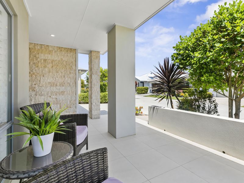 Site 230 - Established Peregrine