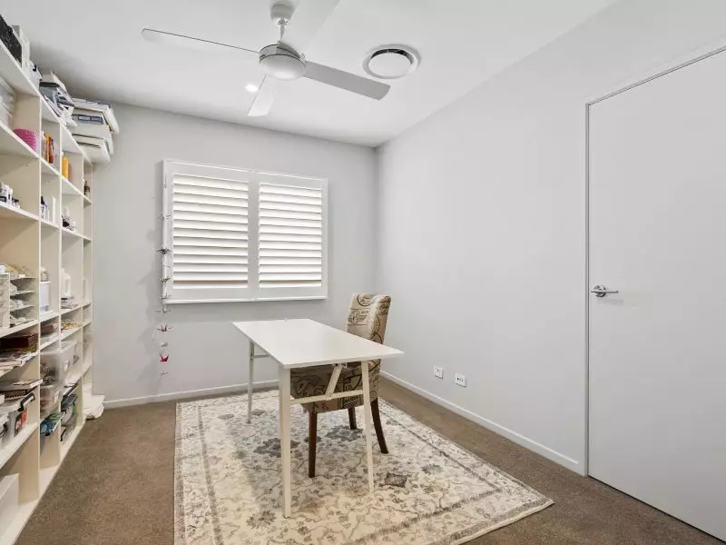 Site 299 - Established Sequoia