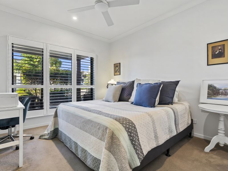 Site 35 - Established Sumatra