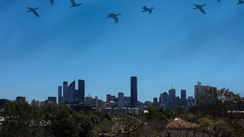 Newly reinstated Apartment with amazing full city views -this awaits you! 1 bedroom / 1 study / 1 bathroom