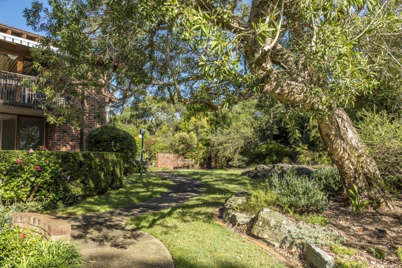 Welcome to your new sanctuary! Charming newly renovated home in serene Narraweena