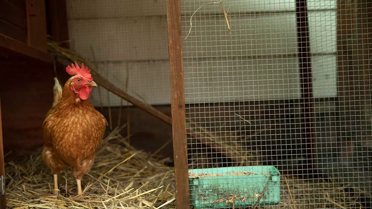 Garden Suburb Aged Care Facility