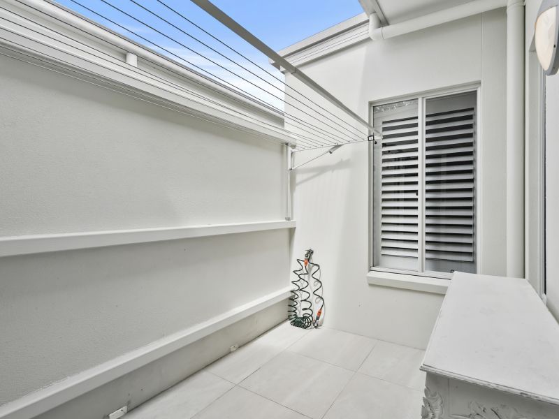 Site 299 - Established Sequoia