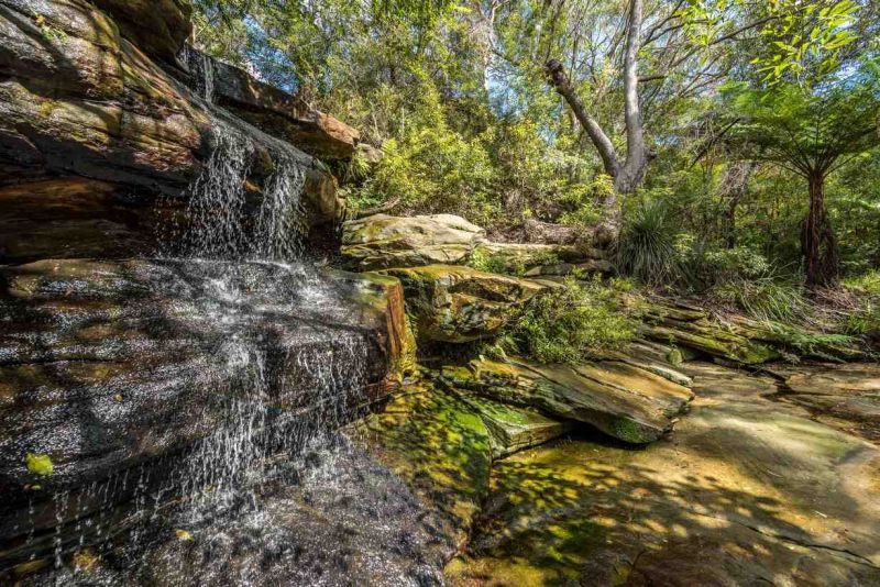 Retire in the Northern Beaches - Modern Serviced Apartment