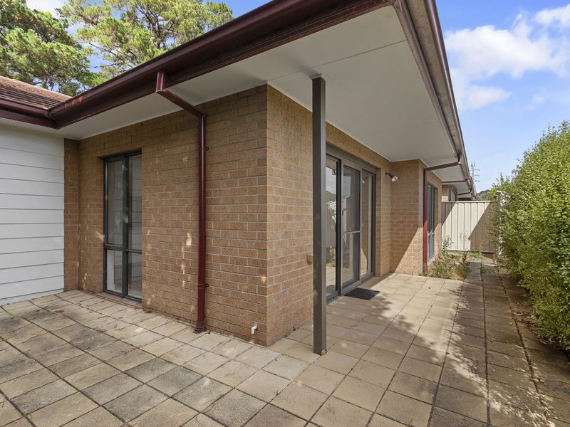 Freshly Updated with Study Flexibility