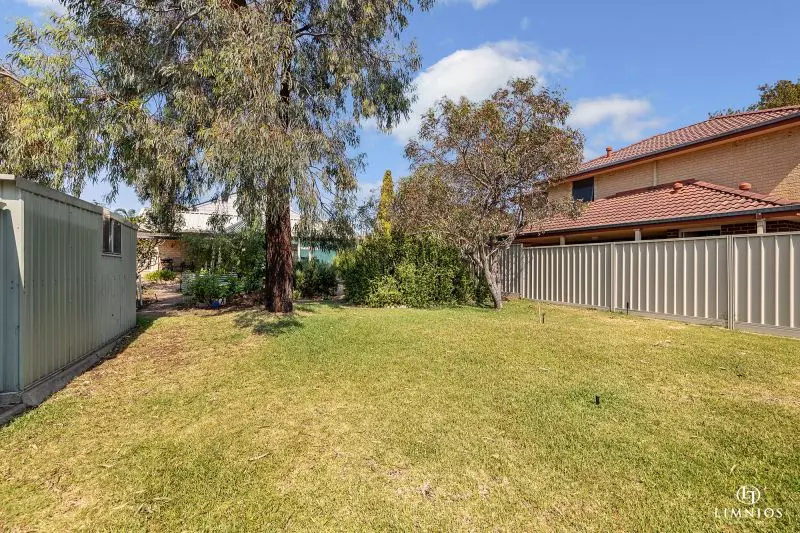 Explore your options!