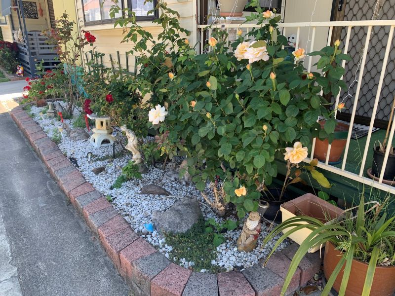 Coastal Palms Village - Site 231