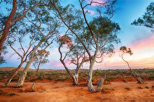 Prospecting for gold and precious stones in Australia