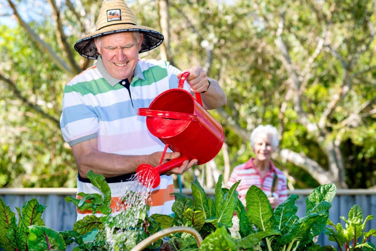 Living Choice Glenhaven