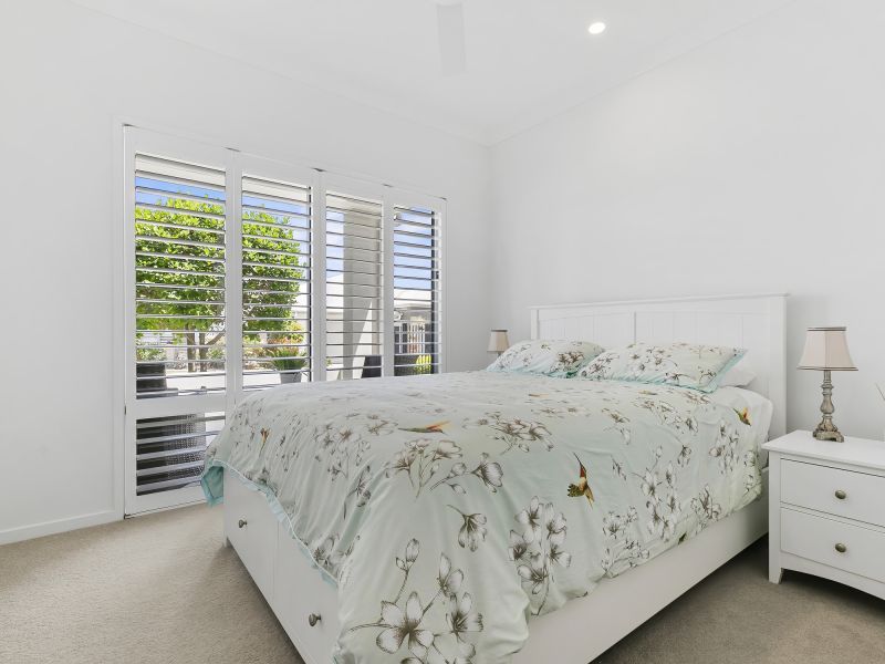 Site 230 - Established Peregrine