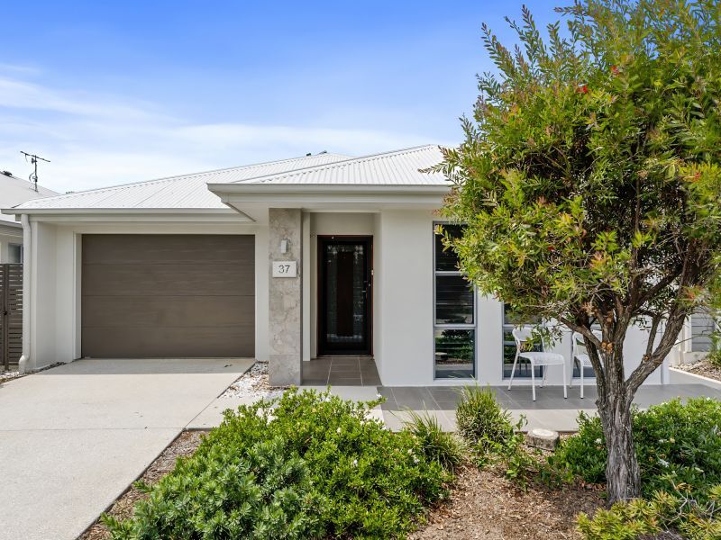 Site 37 - Established Davenport