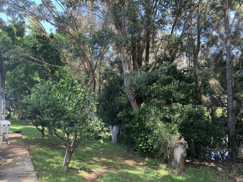 Coastal Palms Village - Site 166