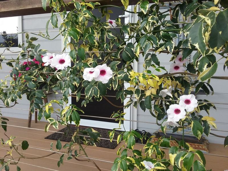 Nothing to do, just move straight in.