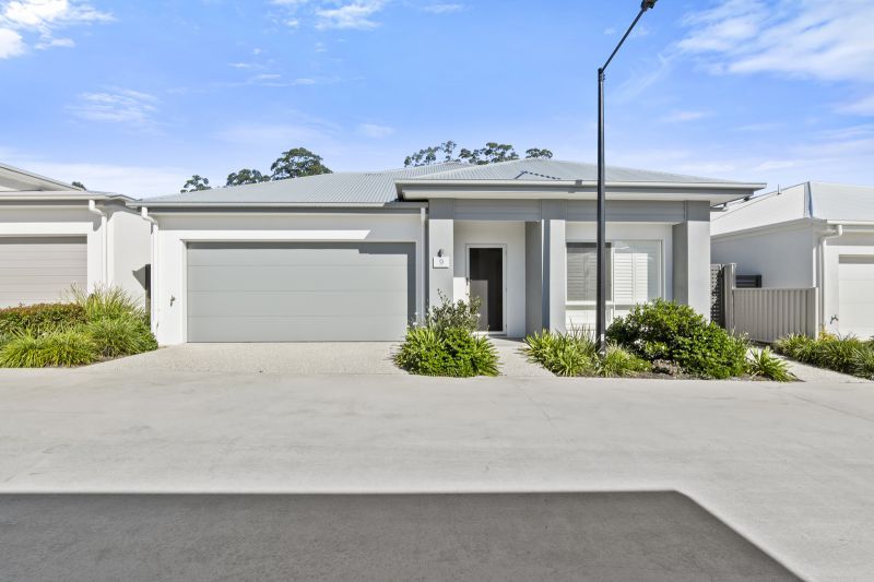 Site 9 - Established Elysian