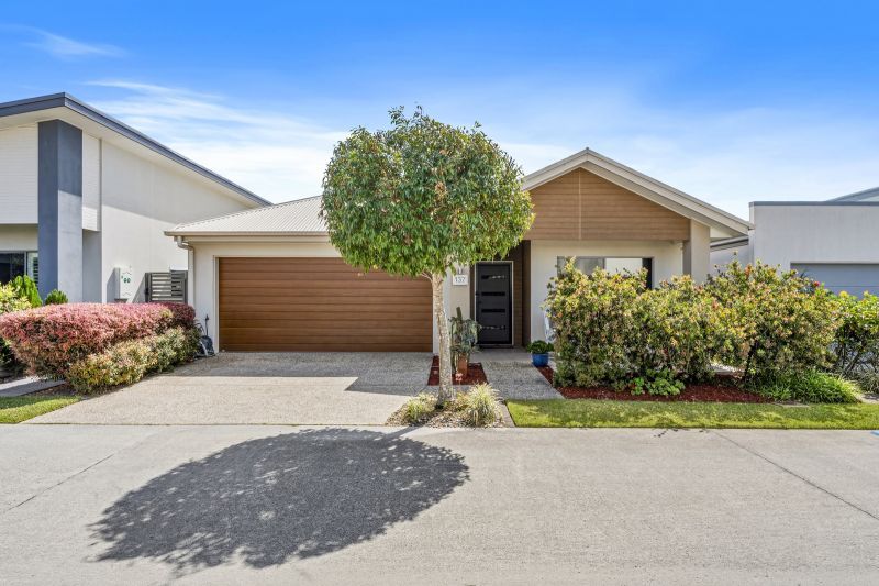 Site 137 - Established Marengo