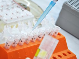 A promising vaccine approach to induce longer-lasting protective immunity against COVID-19 - Monash University 