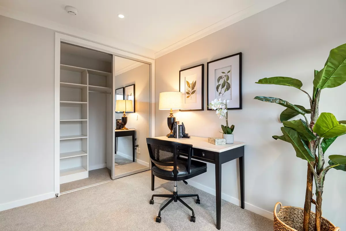 Light-Filled Luxury Awaits