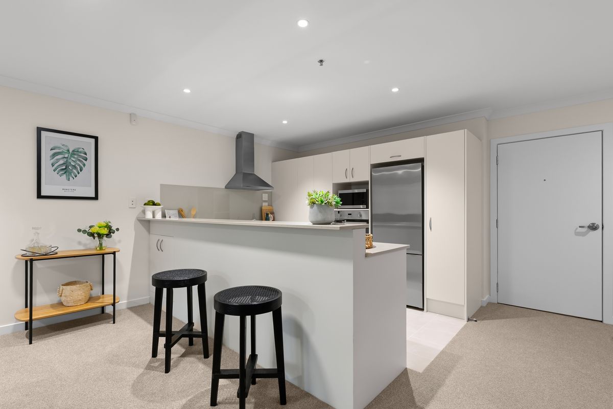 North Facing Dream | One-bedroom Apartment