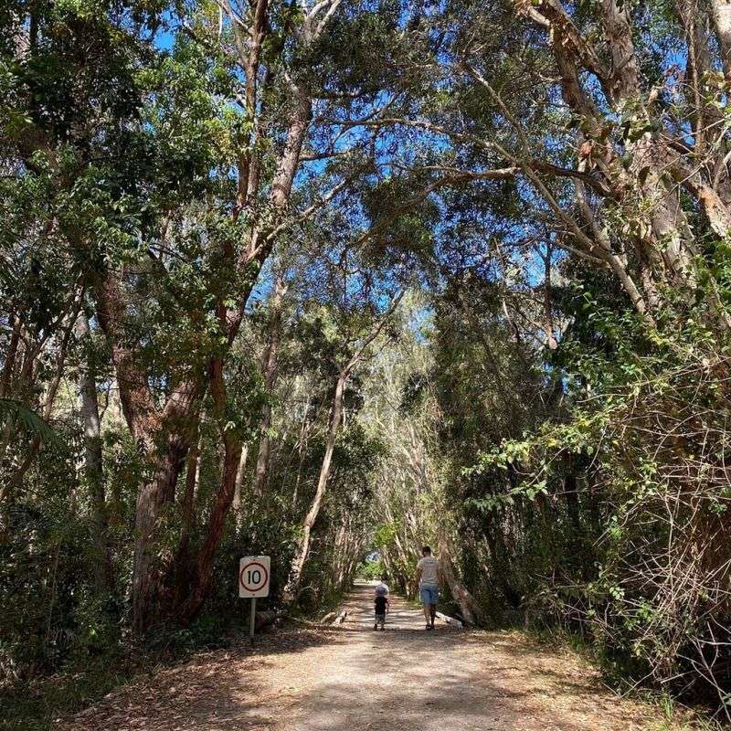 Retire to a new life at the beach!