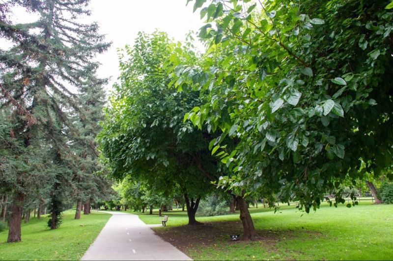 Charming Cottage Retreat