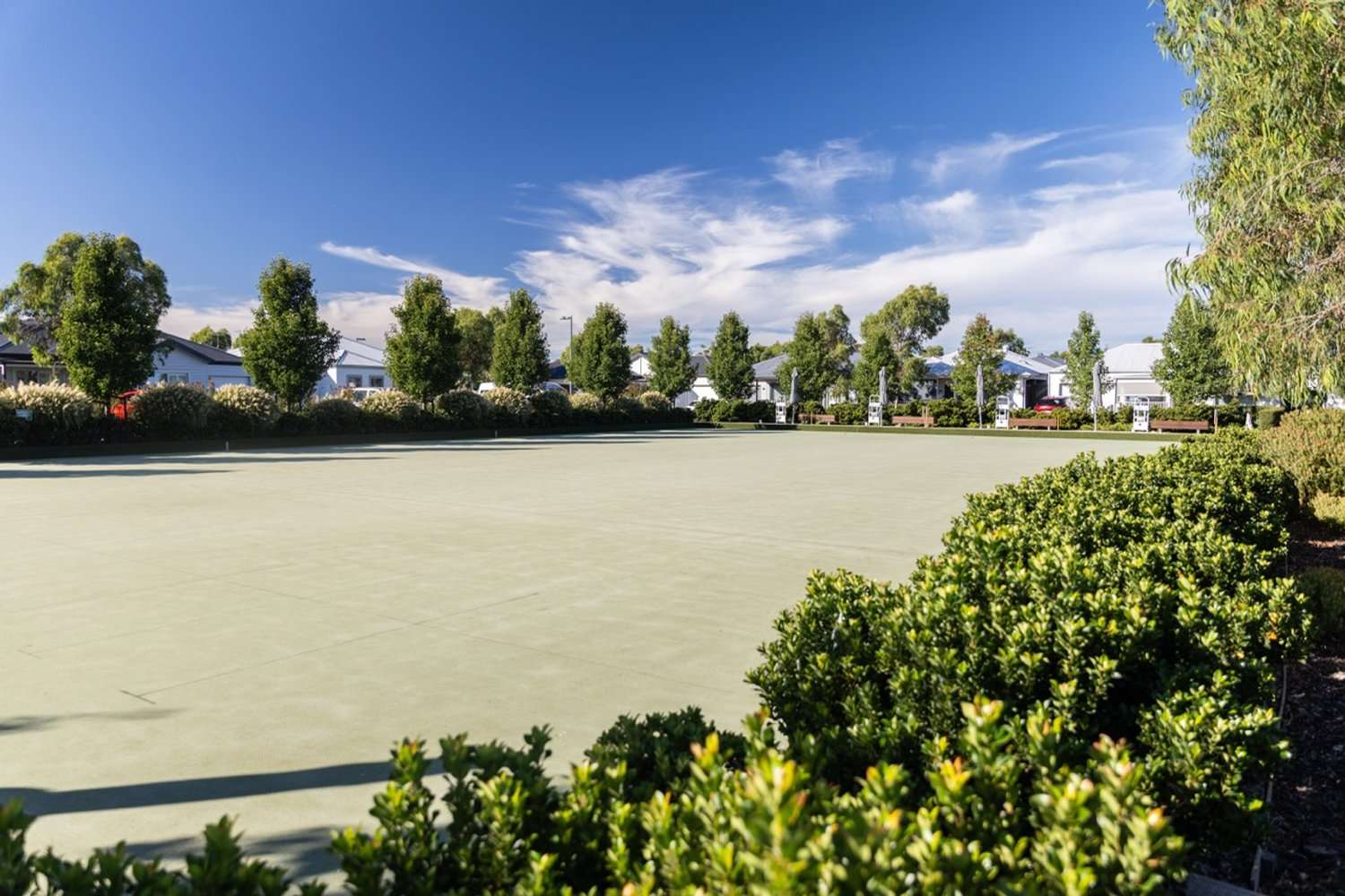 Lifestyle Communities Kaduna Park - Light-filled living with a leafy outlook
