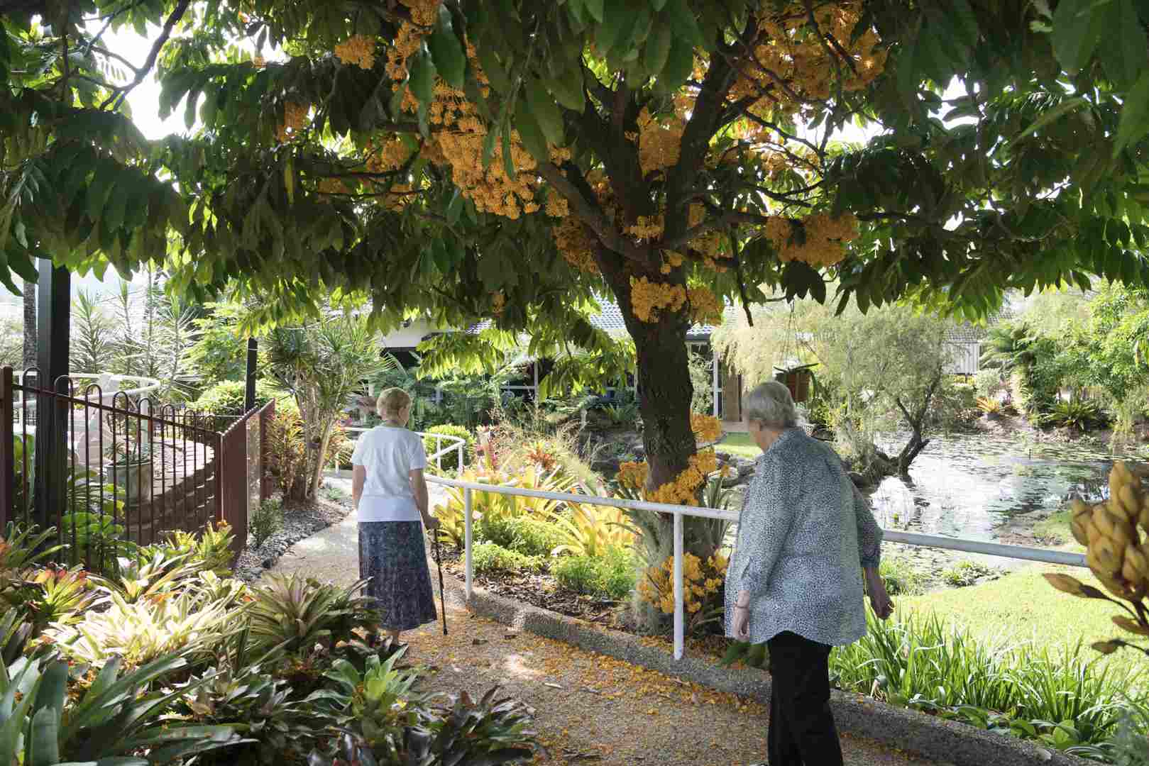 Friendly New Neighbours