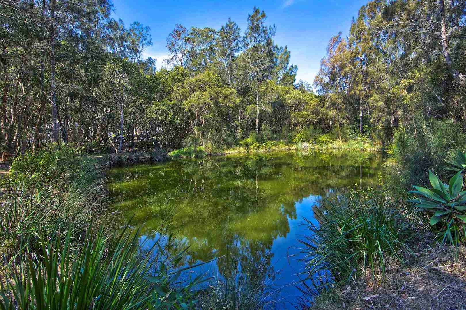 A Fresh Start at Lakeside