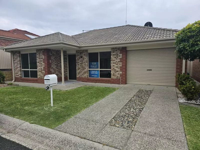 1 Bedroom + Sunroom and QLD room. North facing Lounge.