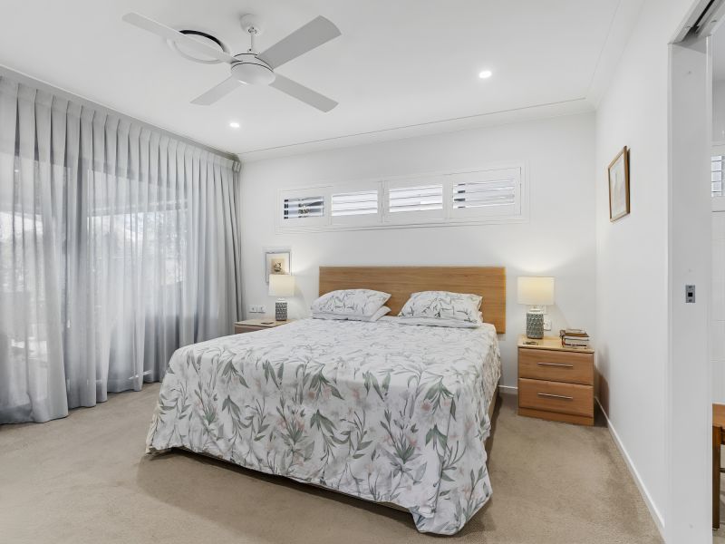 Site 28 - Established Sequoia