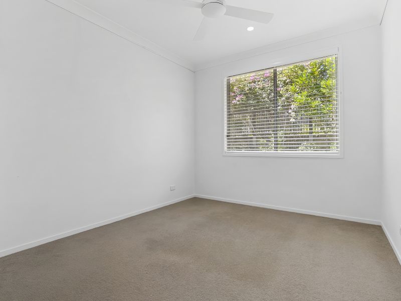 Site 44 - Established Yaroomba