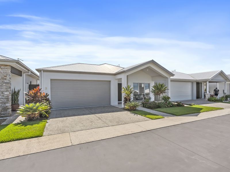 Site 3  - Established Bronte