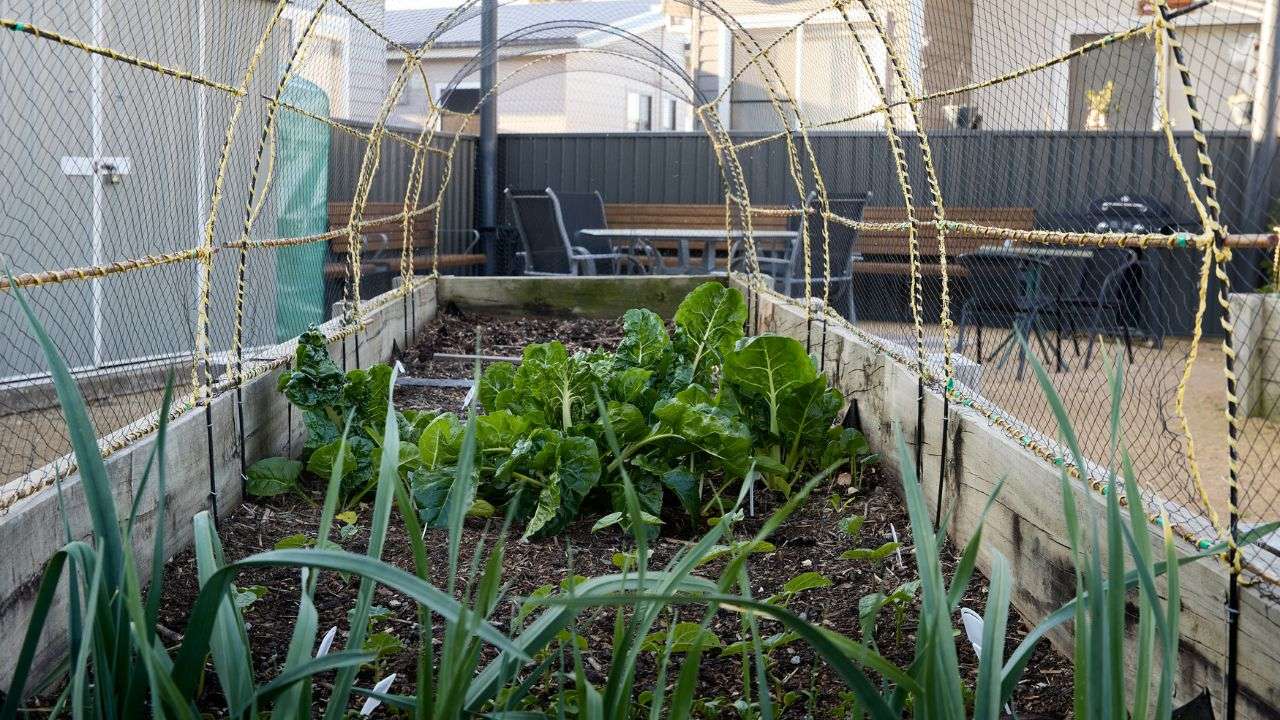 Aspen Lifestyle Four Lanterns