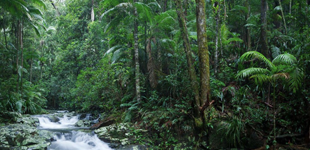 Northern Rivers