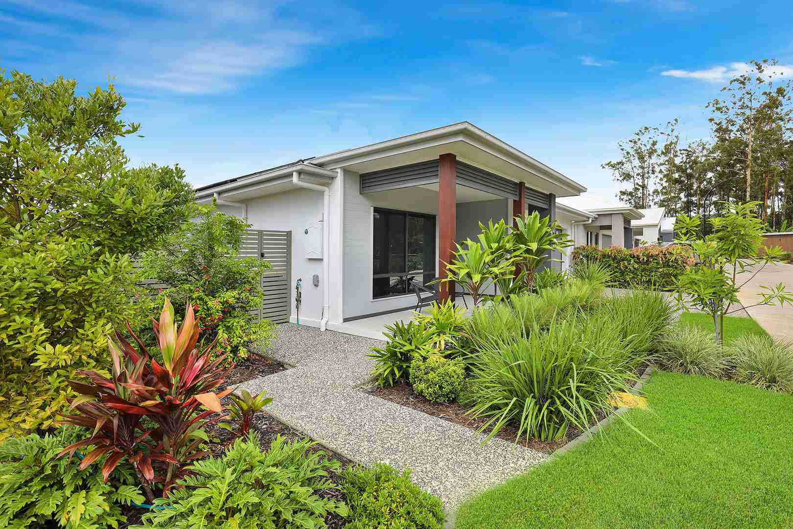 The Next Chapter is Looking Amazing! V238