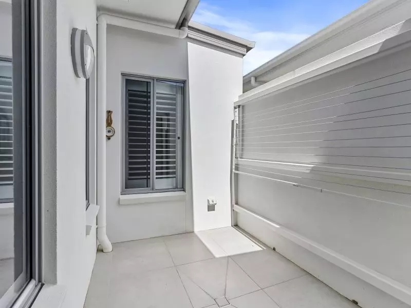 Site 28 - Established Sequoia