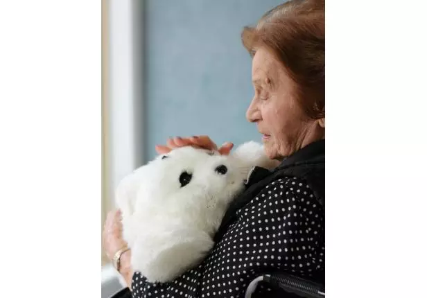 William Beech Gardens