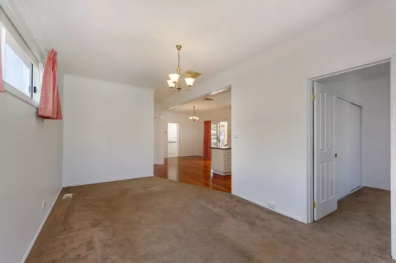 Plenty of Natural Light!