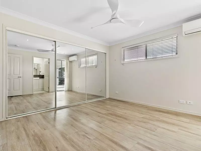 Site 127 - Established Sumarez